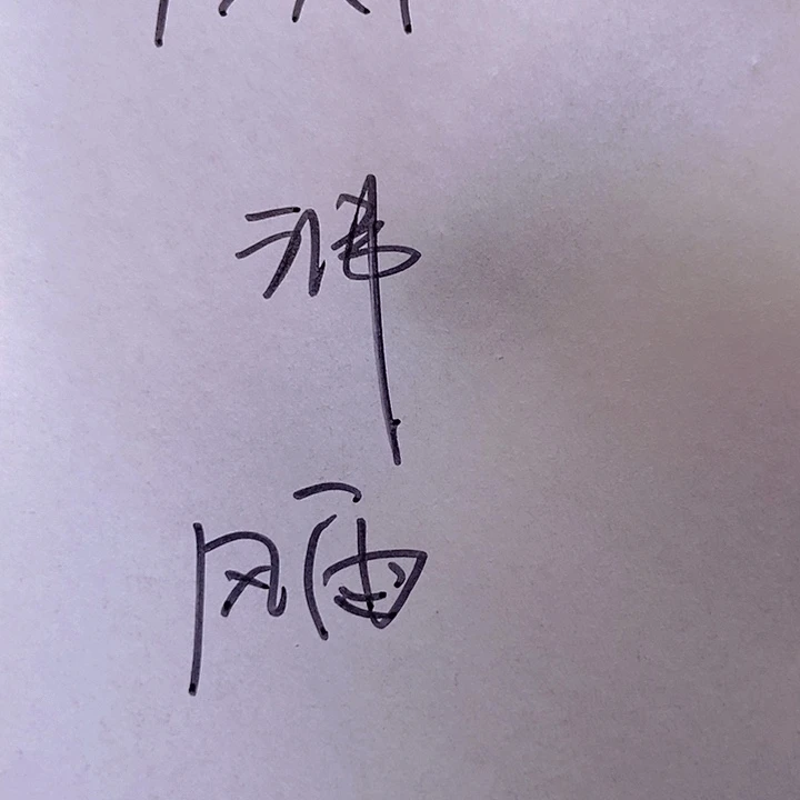 手串桃核风*龙纹桃核
