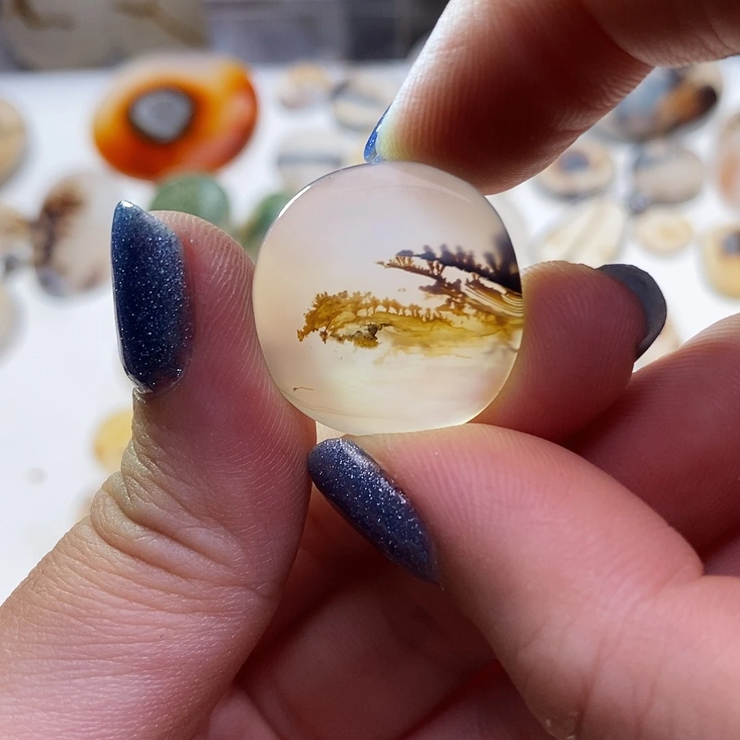 未镶嵌玛瑙/玉髓珠宝奇石鸺***鱼