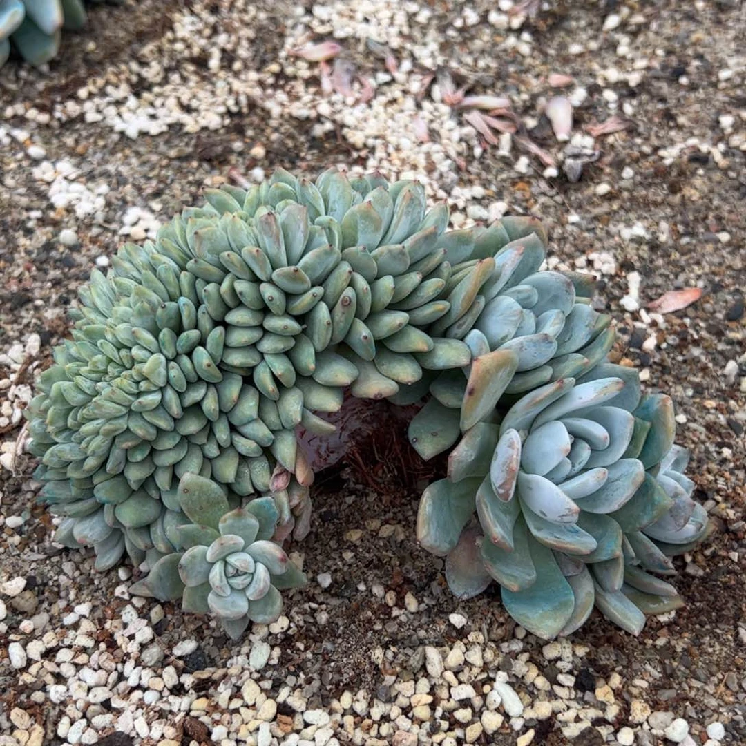 点点滴滴点点滴滴