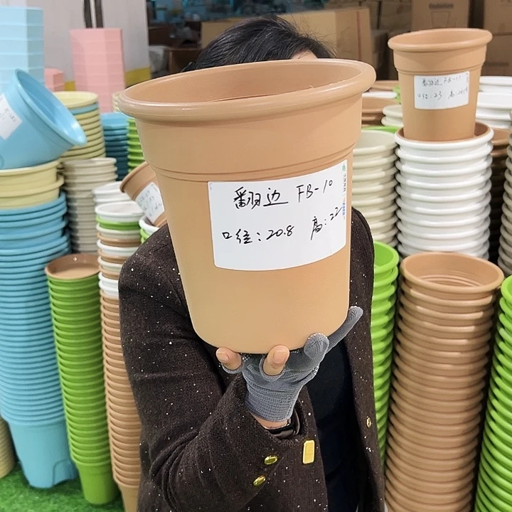 正品翻边口21高22卡其色无托6只