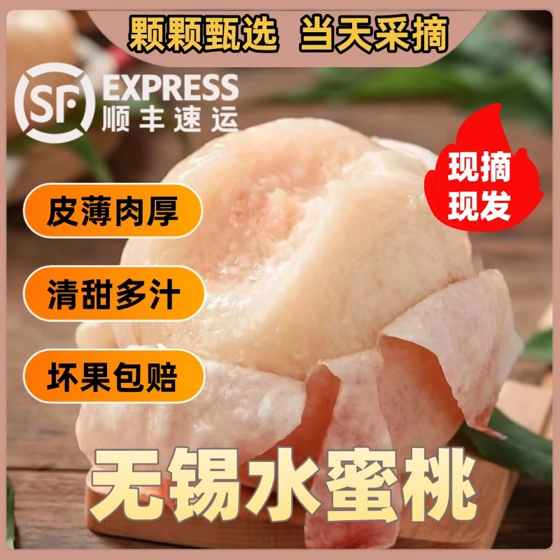 【5两9颗】无锡正宗水蜜桃清甜可口送货上门礼盒装江苏省