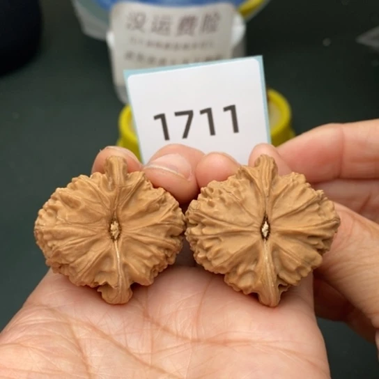 文玩核桃把件凡*丶35.5白狮子1711