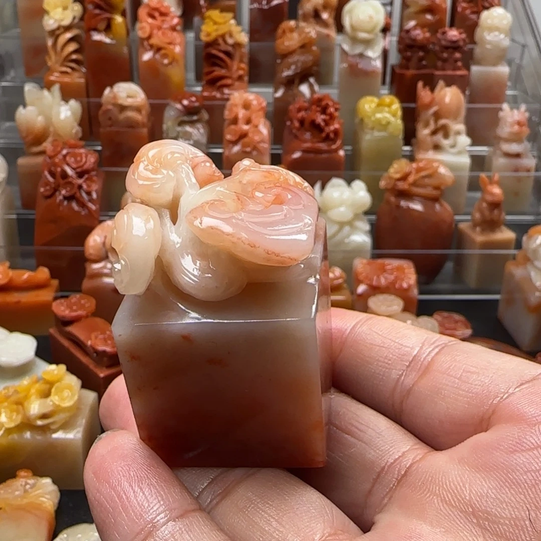 老挝石灵芝  3.1×4.8