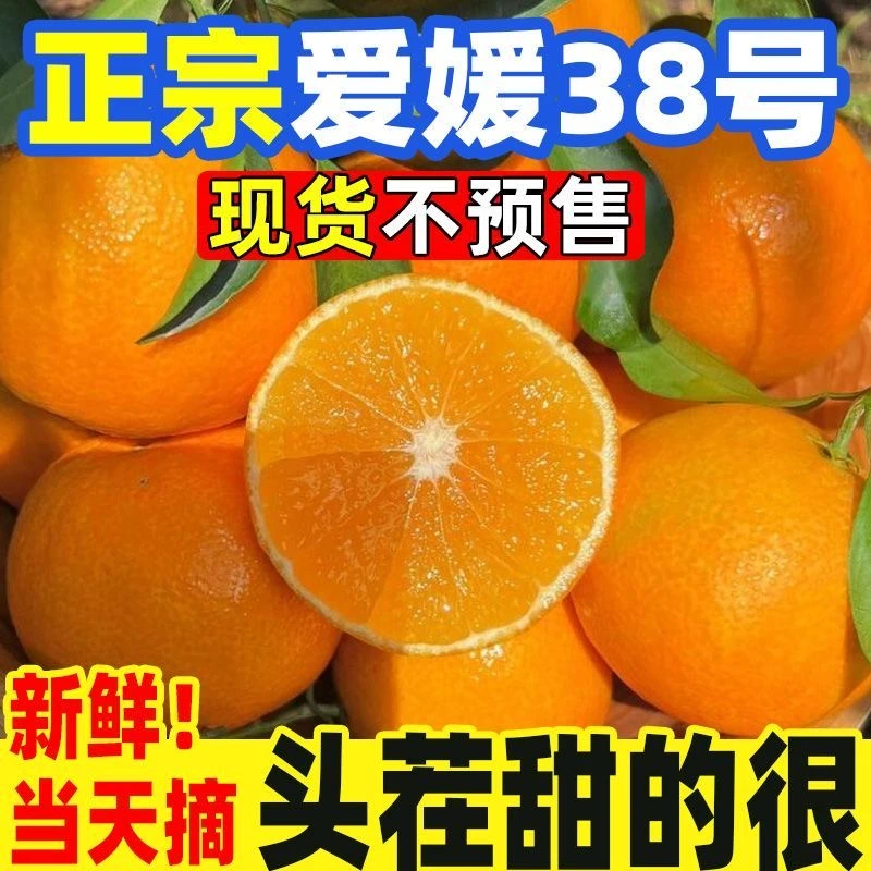 正宗爱媛38号果冻橙新鲜现摘香甜多汁应季水果