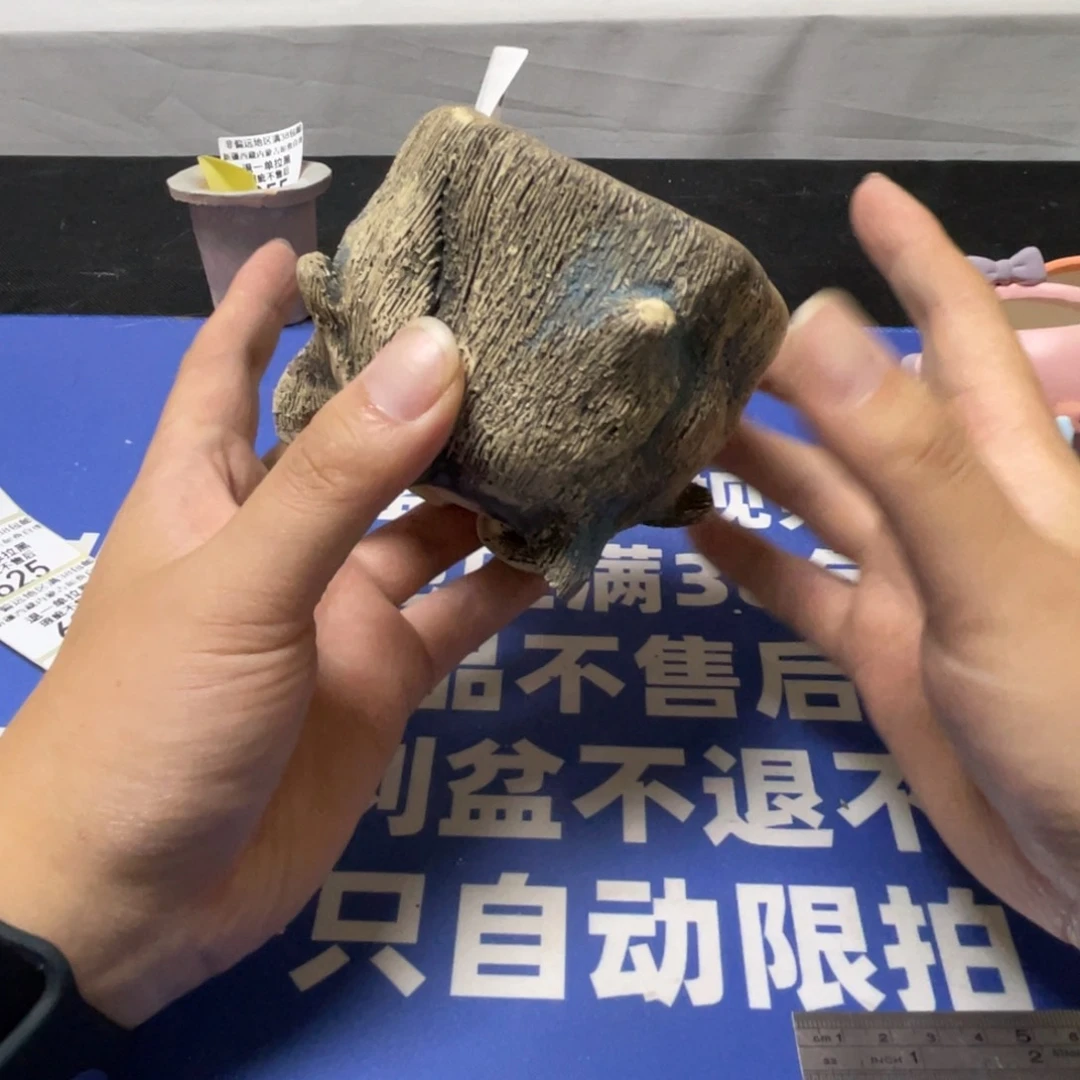 特价微瑕疵不退不换哦57
