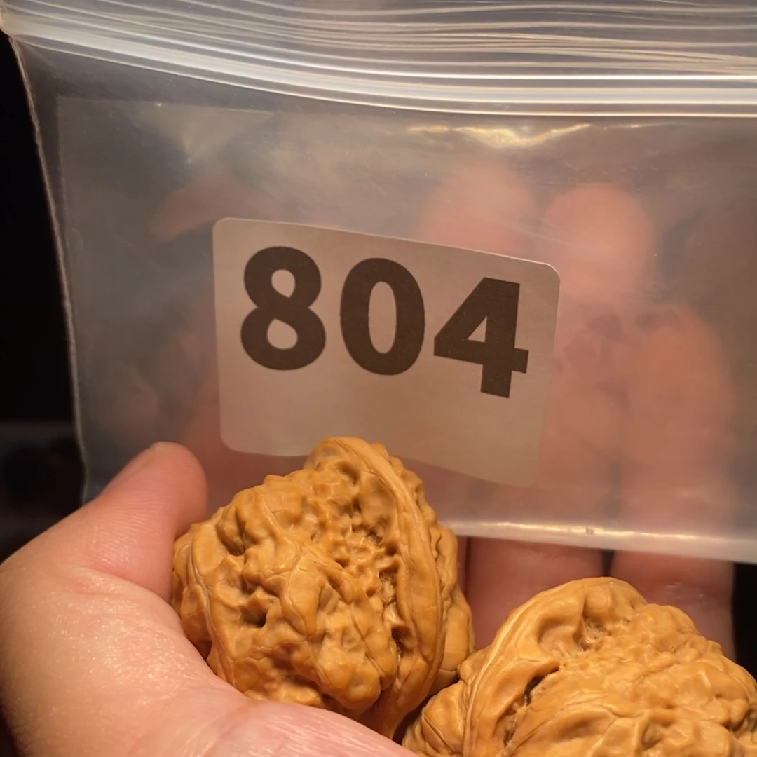 文玩核桃把件阳**照文玩核桃把件