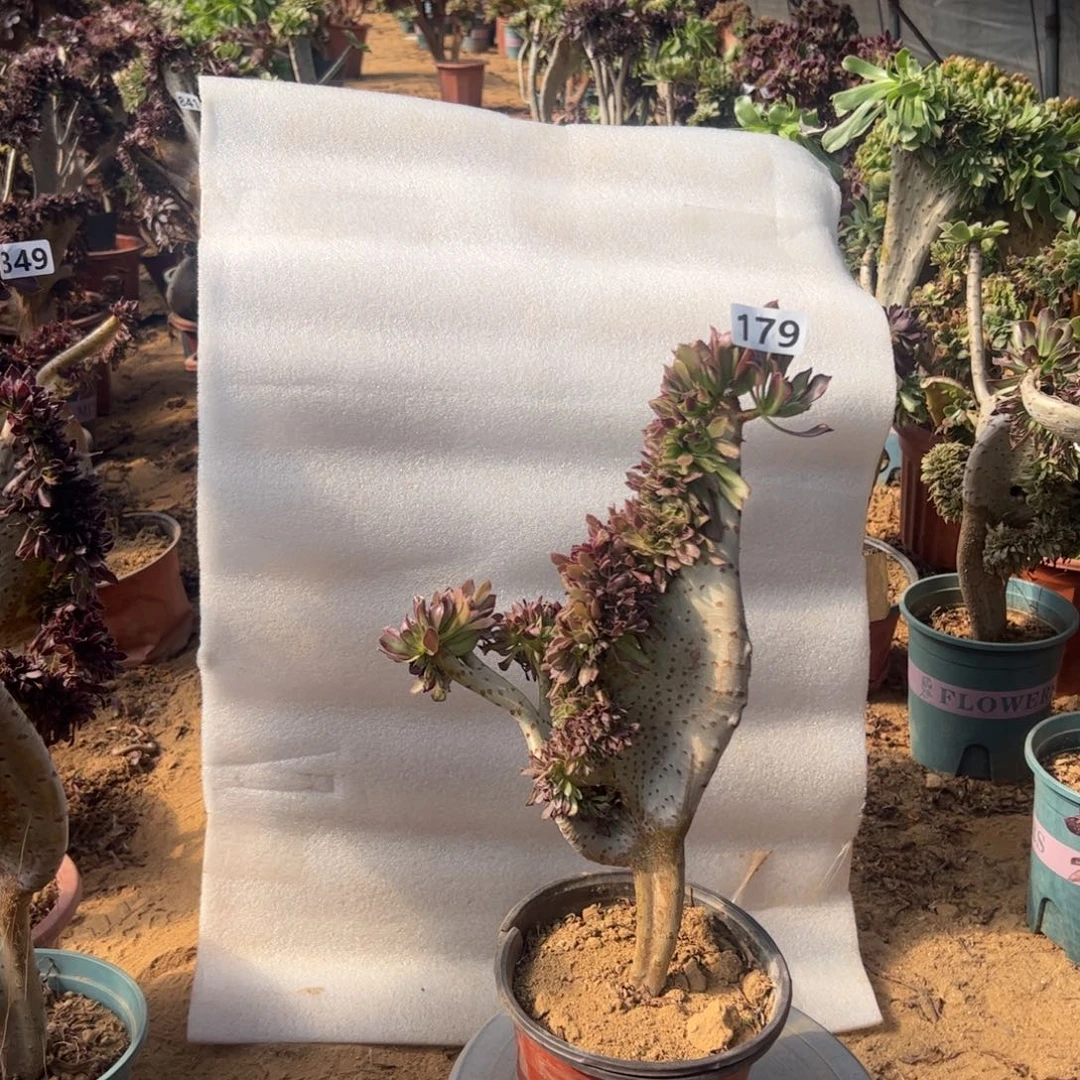 微瑕疵黑缀179满28包邮