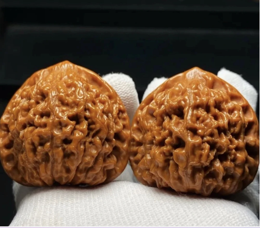 涞水产地直销，品种齐全直播间选购