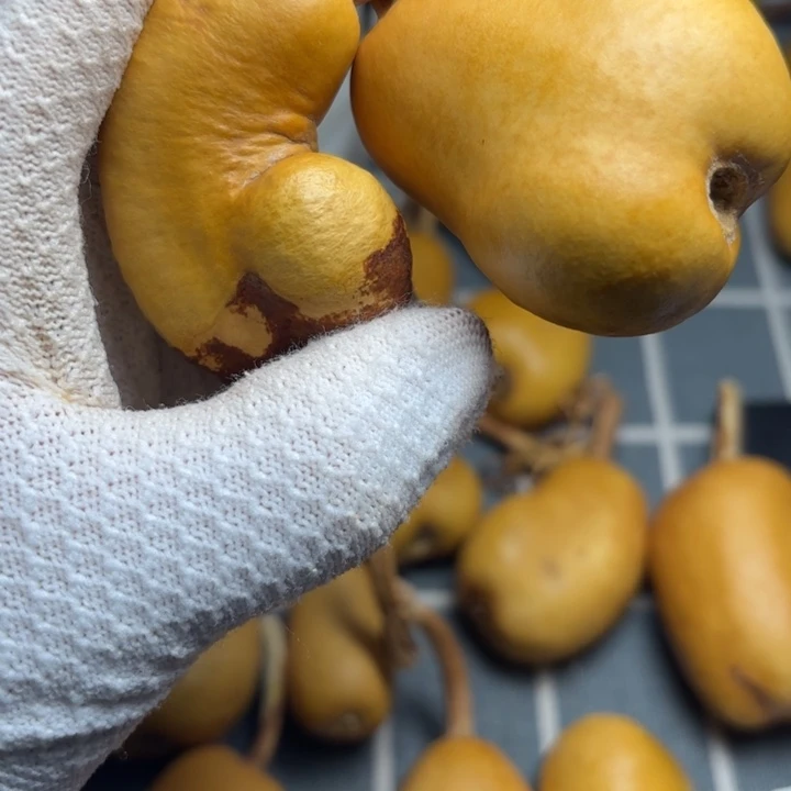 *****花皮裂666666666666