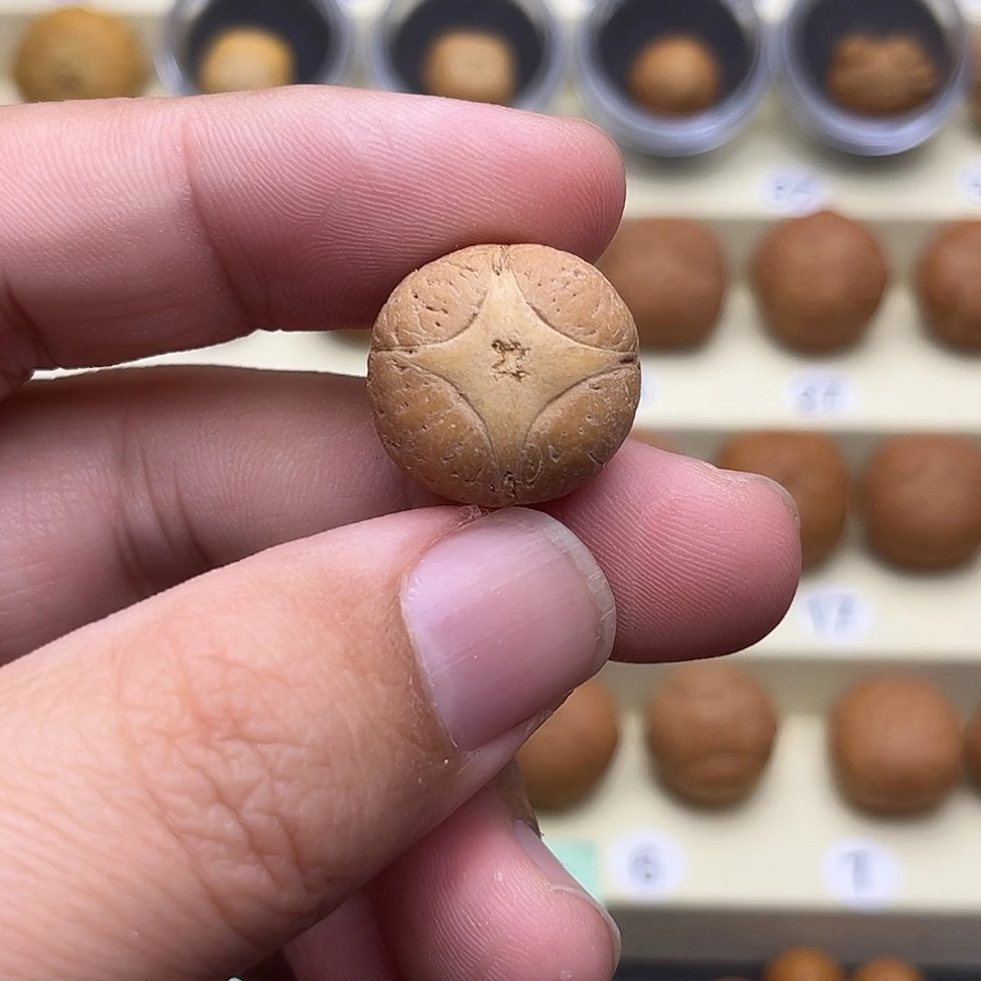 凤眼菩提吊坠4星打孔不退换2号