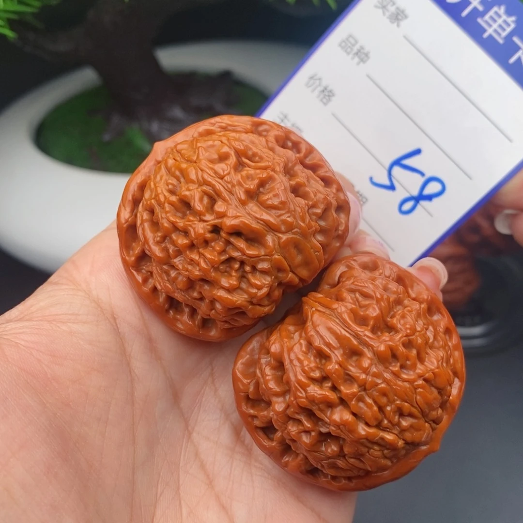 文玩核桃把件43水龙纹58