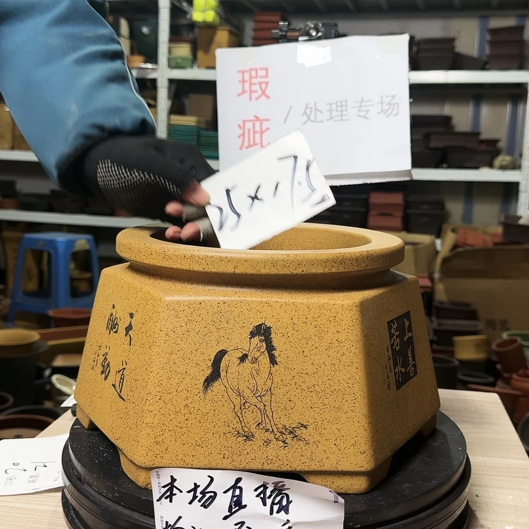 紫砂花盆哈哈饭都还吃