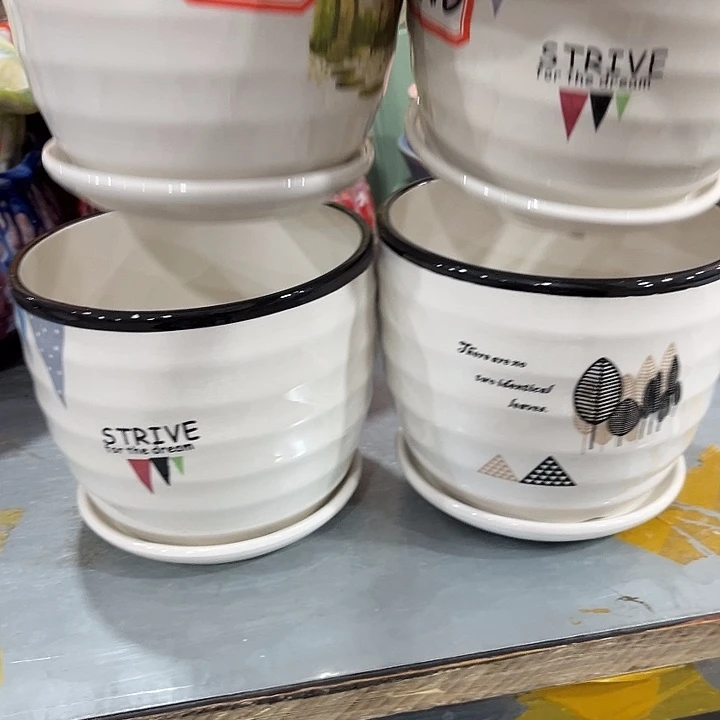 花盆花盆花盆花盆花盆花盆花盆