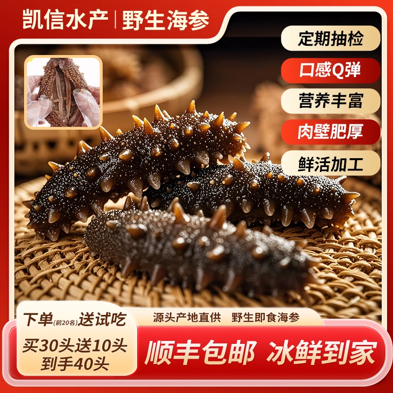 【到手40头】即食海参 30头加送10头 正宗大连深海辽参软糯Q弹
