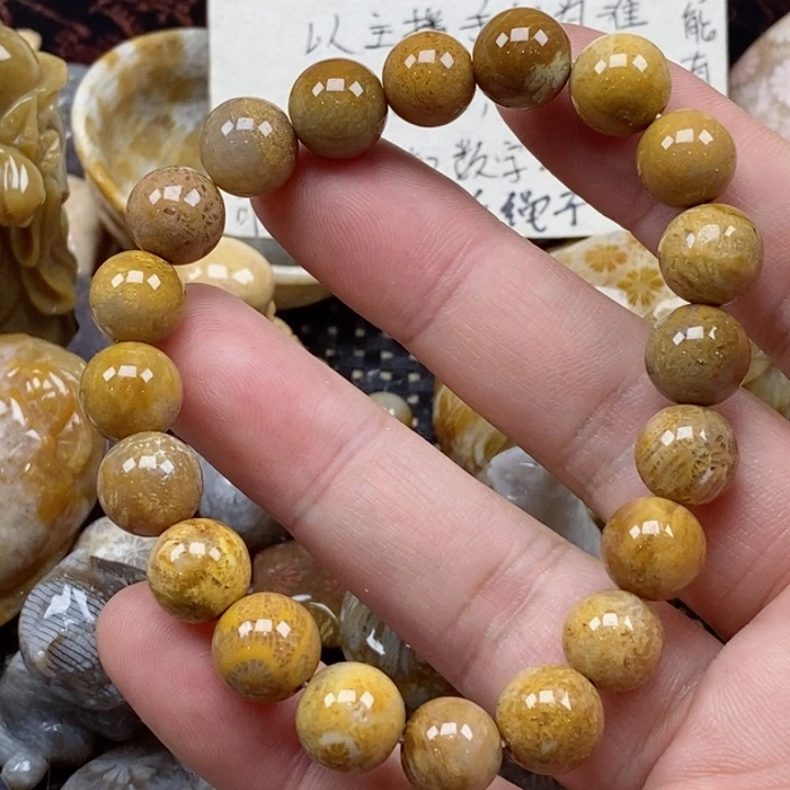 颈饰未镶嵌硅化珊瑚（珊瑚玉）
