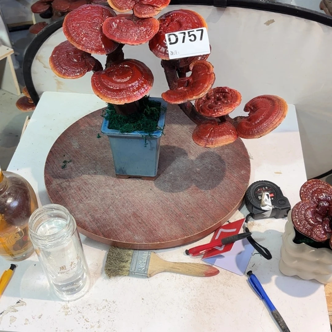 无花朵灵芝888888888888888888