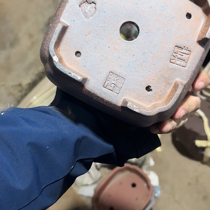 我想说我们也很幸福吧希望以后都能够一直开心