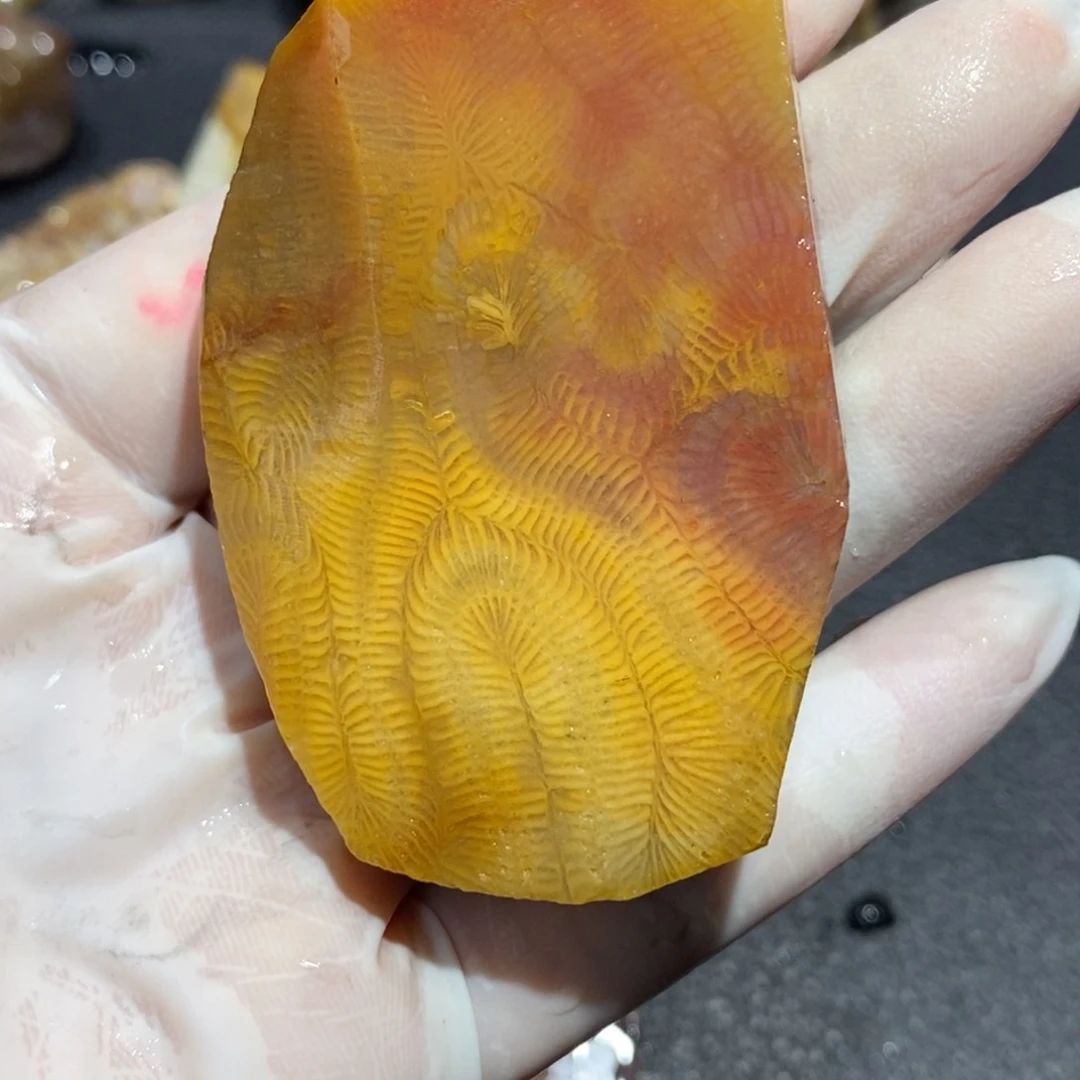 【闪购商品】未镶嵌珊瑚玉硅化玉