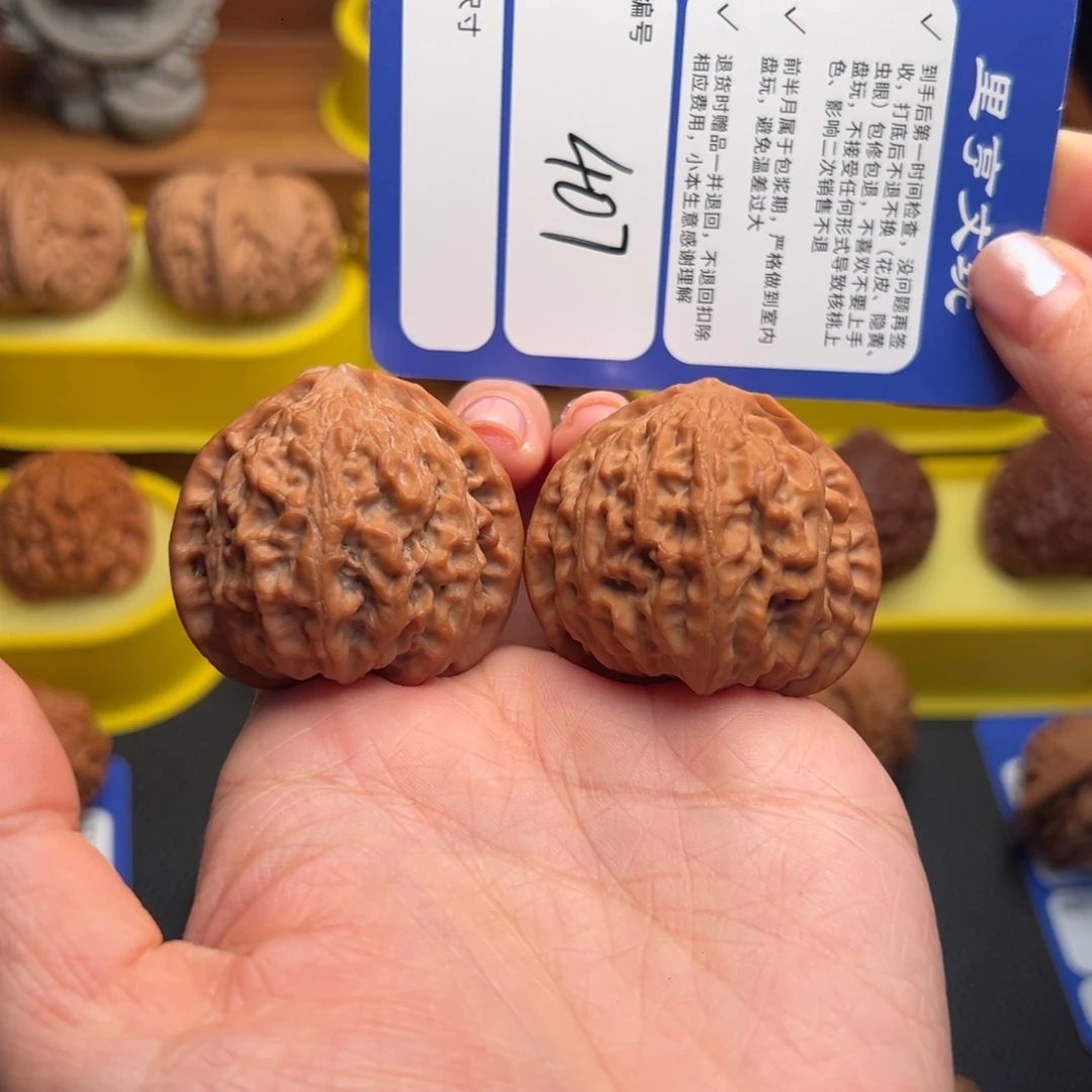 核桃407全品金牛42尺