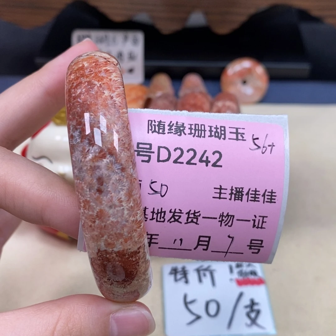 未镶嵌D2242硅化珊瑚（珊瑚玉）三*