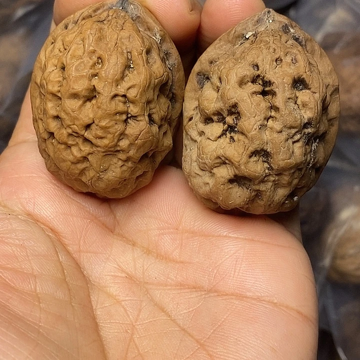 文玩核桃把件云南铁核桃1