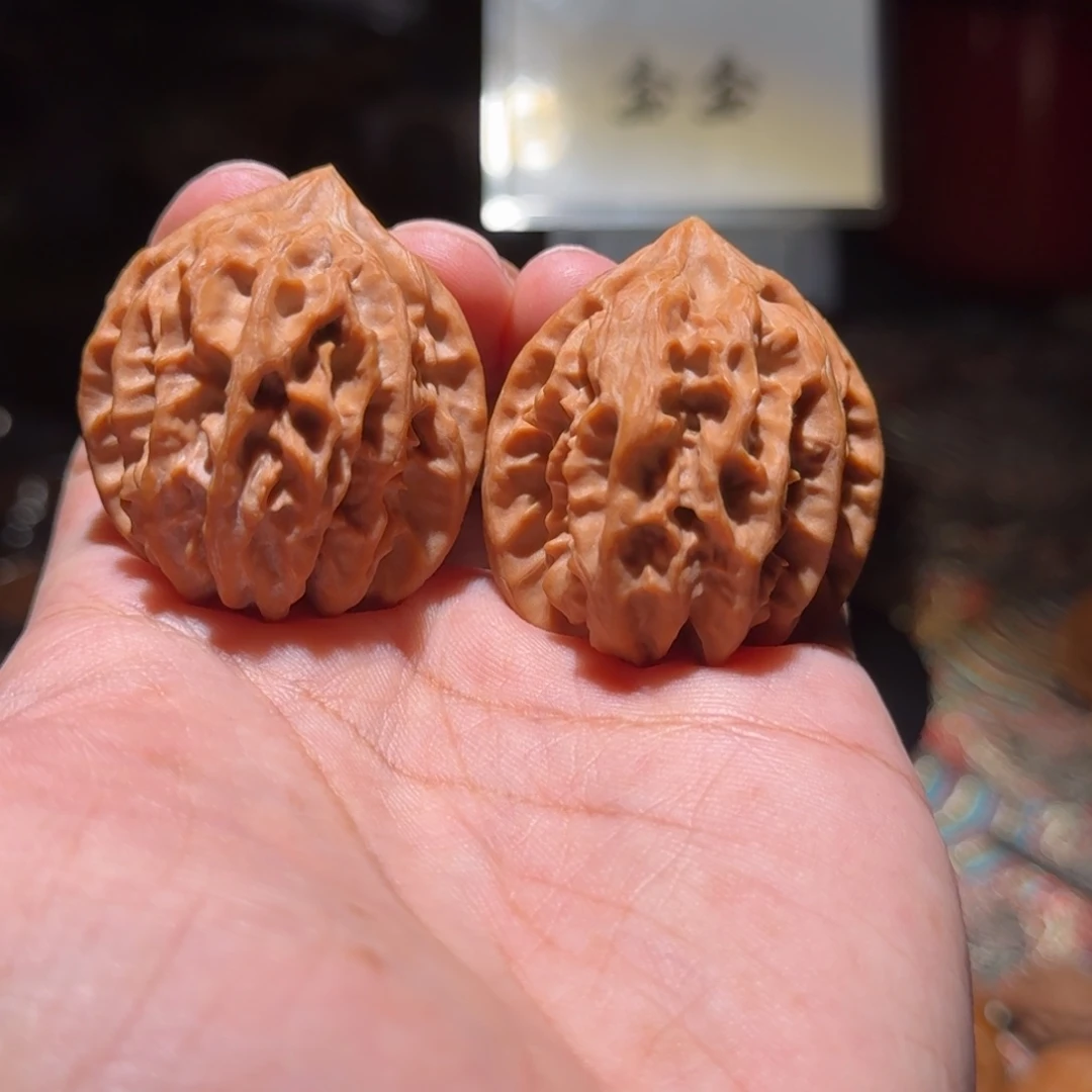把件核桃1112大龙，尺寸38