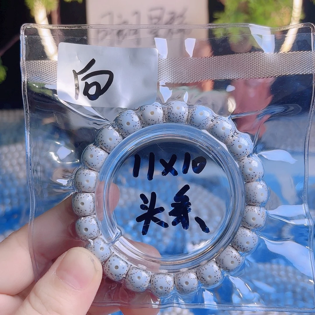 向***U吊坠菩提根/象牙果