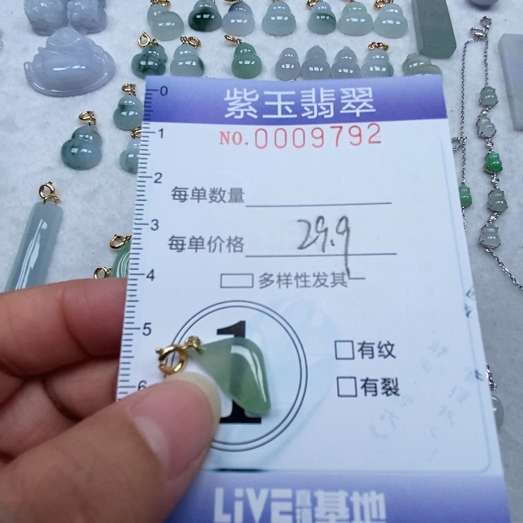 翡翠未镶嵌颈饰冰透随行