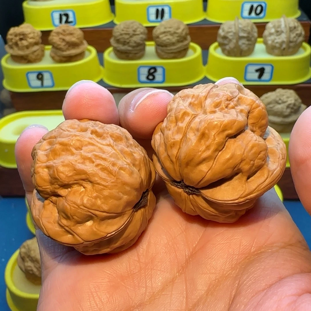 珠***哥桃核把件蟾祖核桃