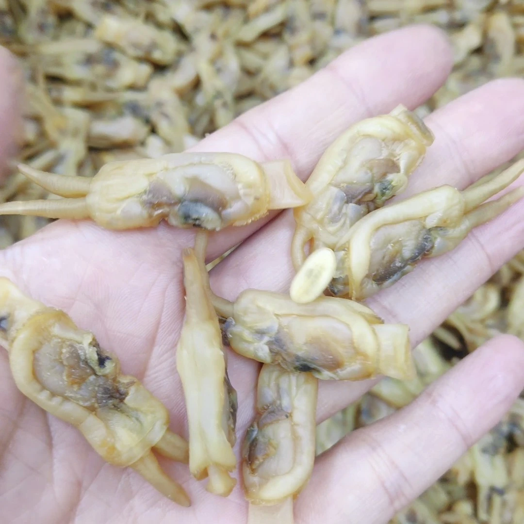 福建宁德本地小号蛏子干生晒蛏干煲汤淡晒无盐蛏子干福建特产送礼