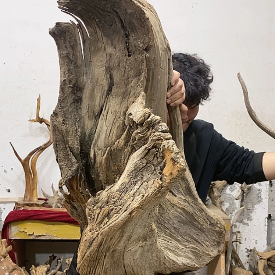 【闪购商品】柏木乐*我们的目标是成为一个