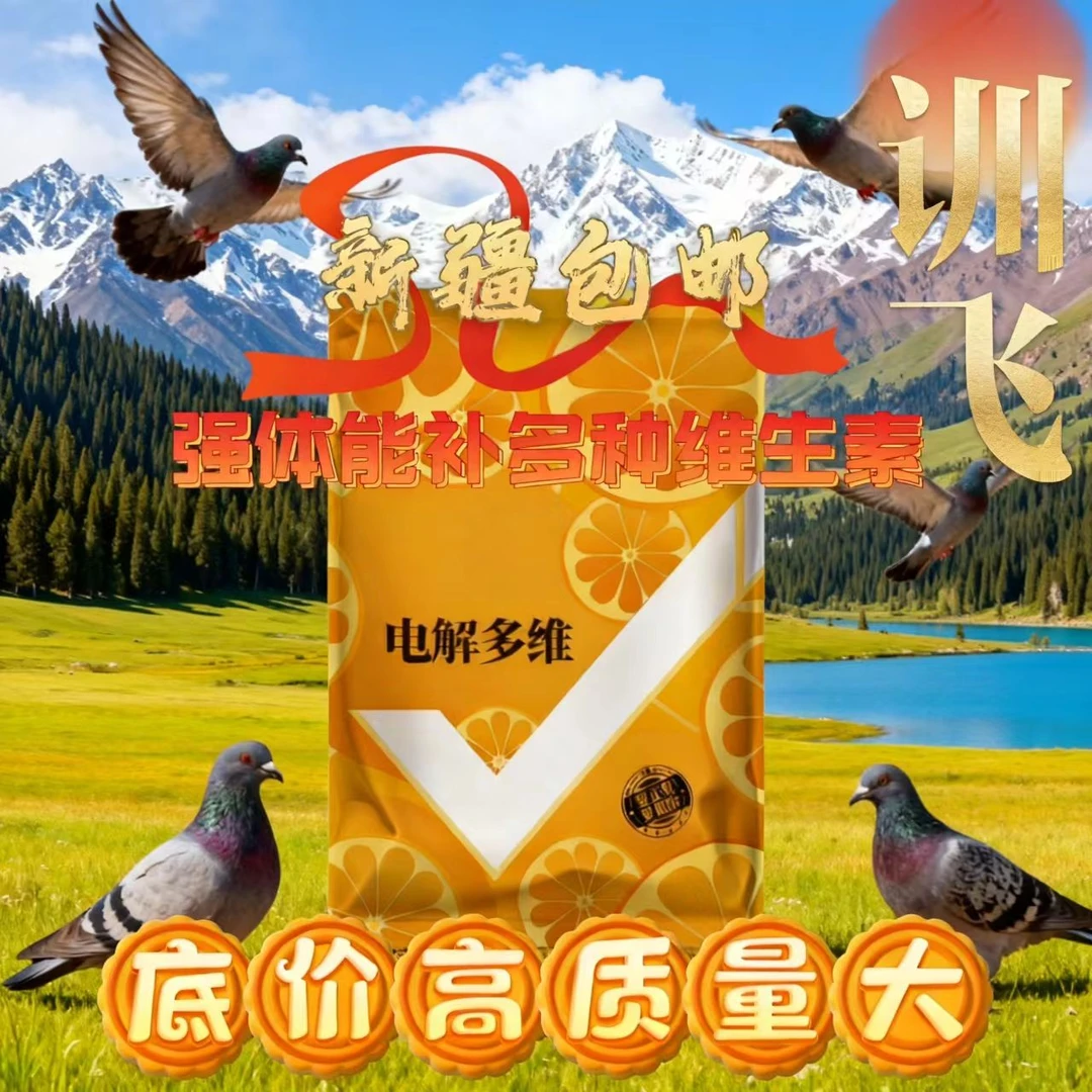 鸽子护理基础套餐（电解多维+复合益生菌）护理肠道补充维生素