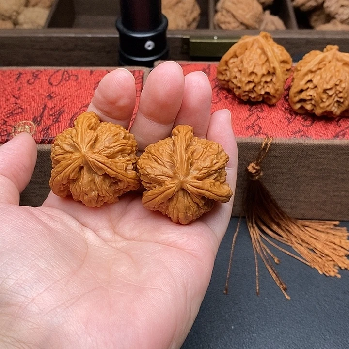 肥***门把件文玩核桃白奔