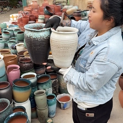 口17高24两个盆。