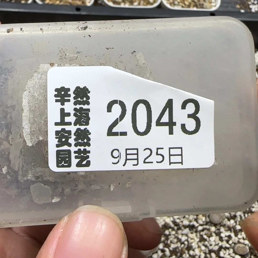 不***子9.25。 专拍。  2043