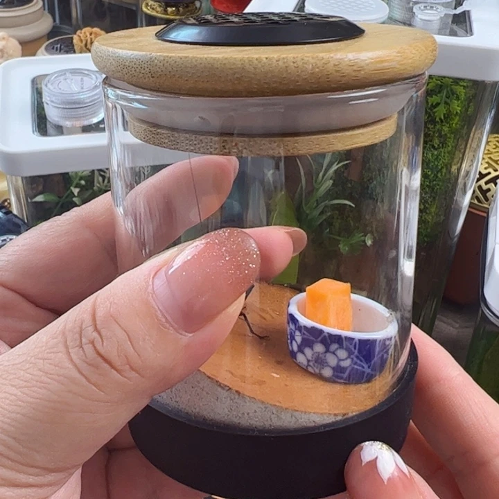 半***生哈哈哈只要罐带素背