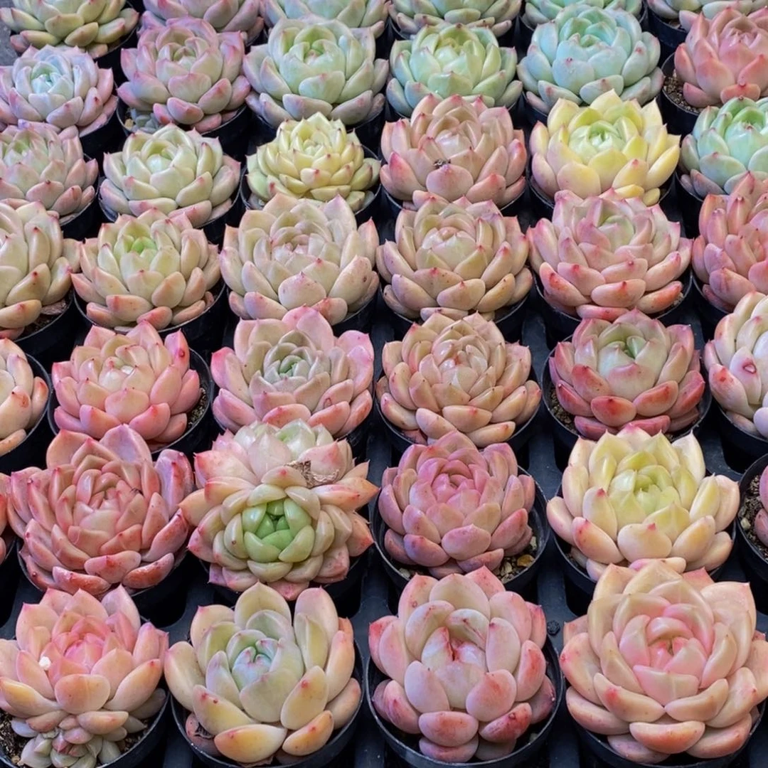 多**…343的人生态度就是这样一