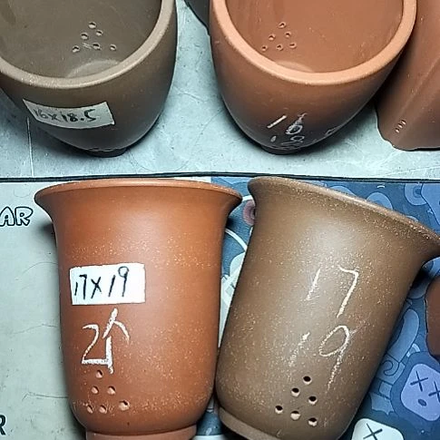 红泥紫泥小金钟两个花盆