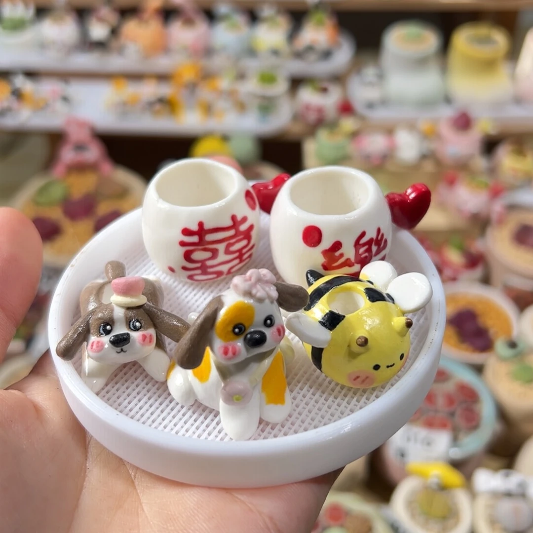 花***姨多肉植物59号单独盆