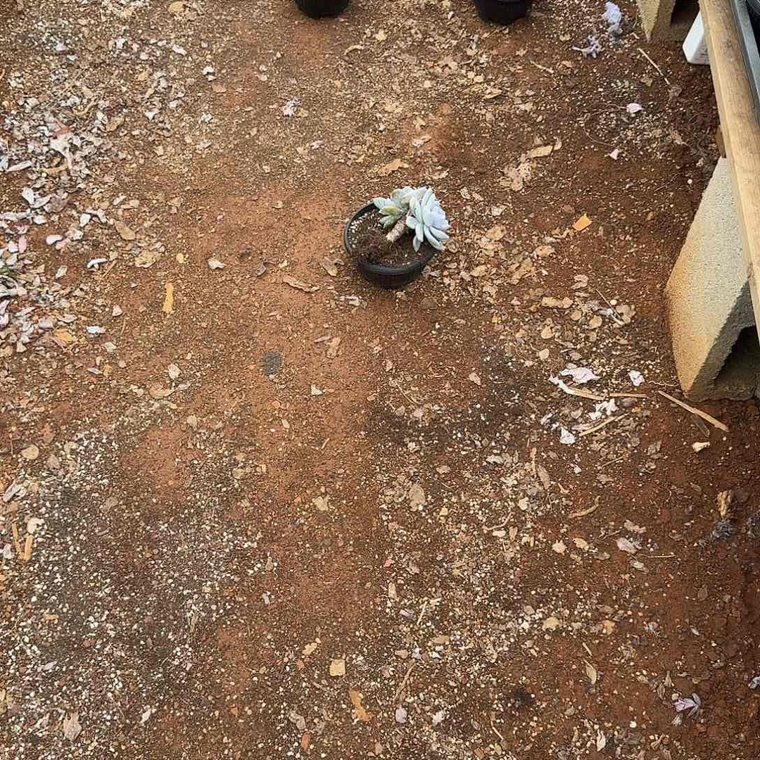 *****哈哈哈哈哈哈哈哈哈