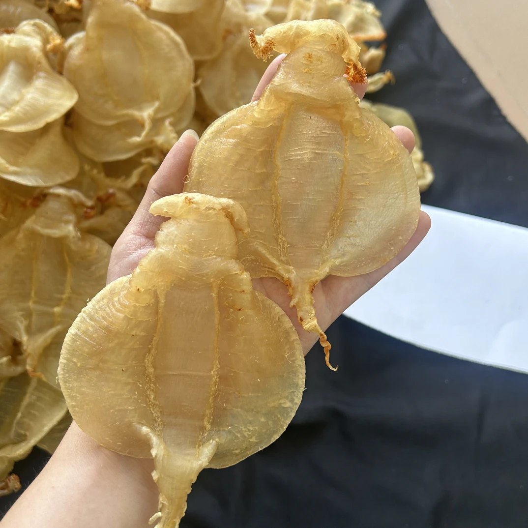 最美造型经典最美肉质深海石肚赤嘴公胶