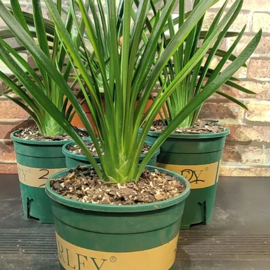 完全开放1111111111