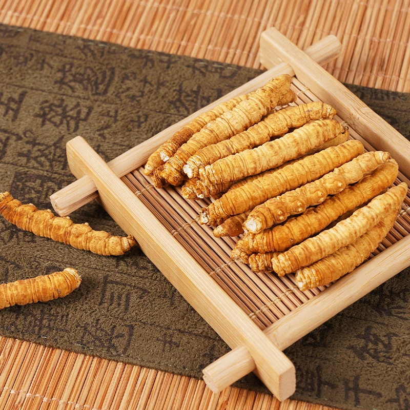 【现称虫草王大断草】高品质冬虫夏草自用大断草囤货装炖汤泡水喝