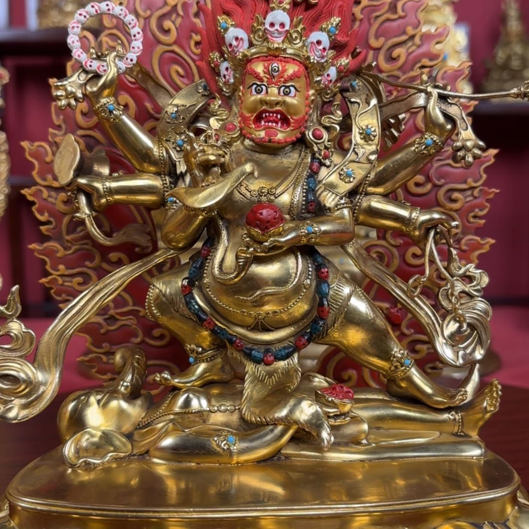 白***卓铜1111111111111111111111111111111111111