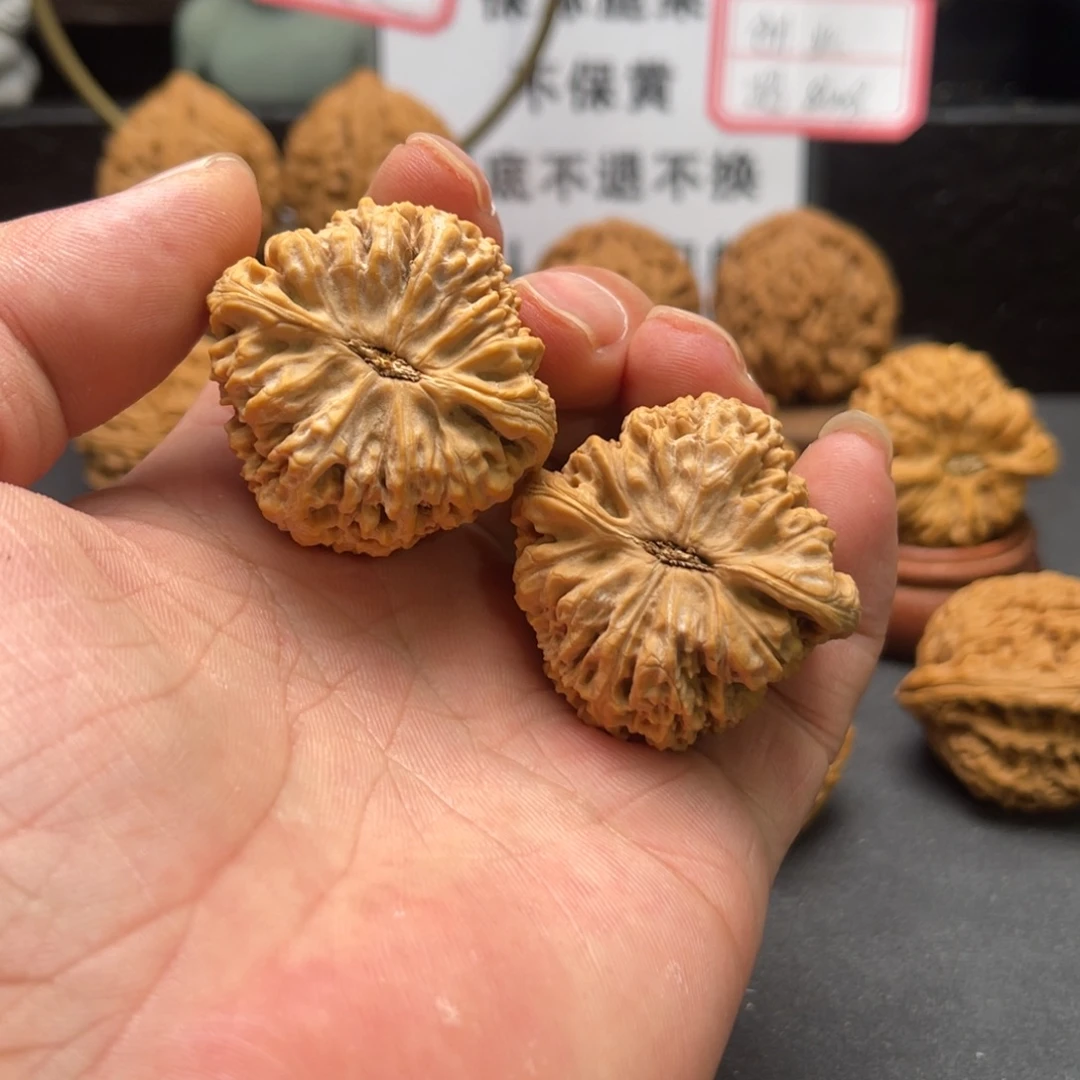 听***水猴头核桃把件涿鹿