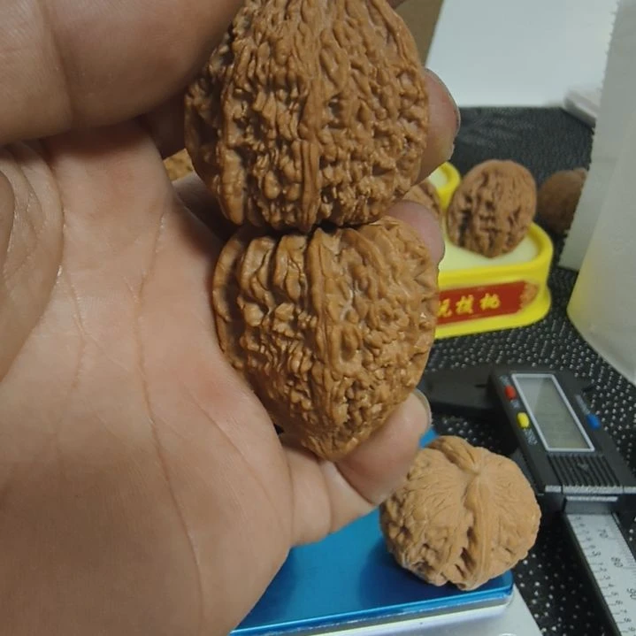 海***杆全品塔尖喜欢来拍