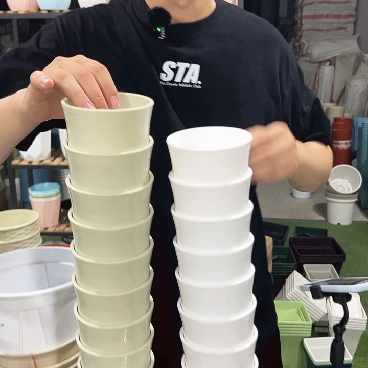 竹节口10高10混色无托20只