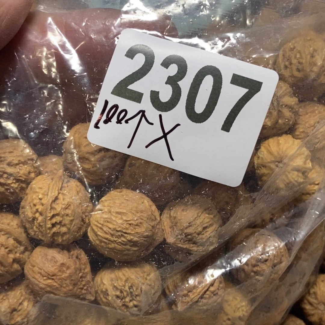 文玩核桃吊坠用****6秋子