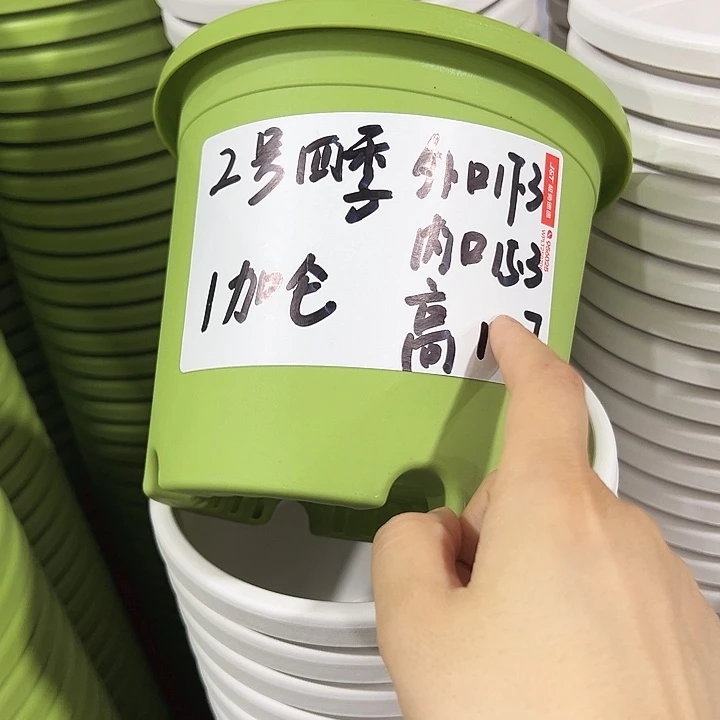 四季2号特价10个白色无托