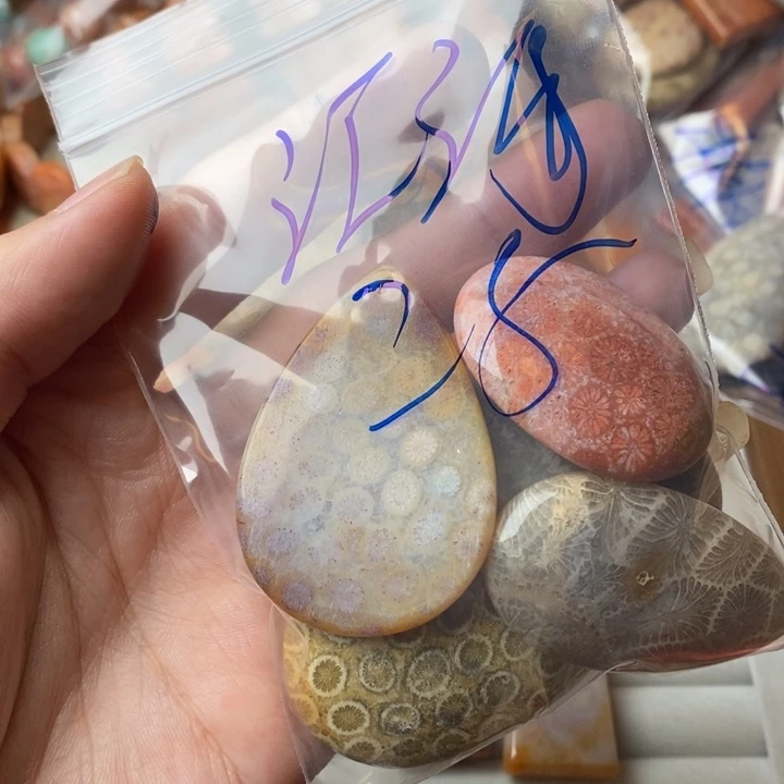 江***河未镶嵌珊瑚玉硅化玉